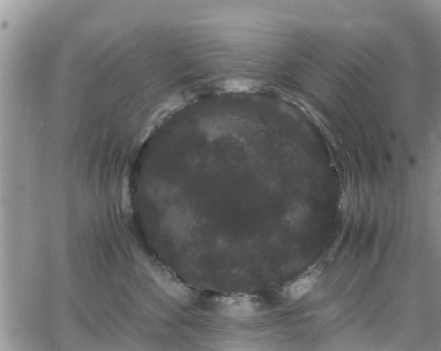 X0000063500524200601231440