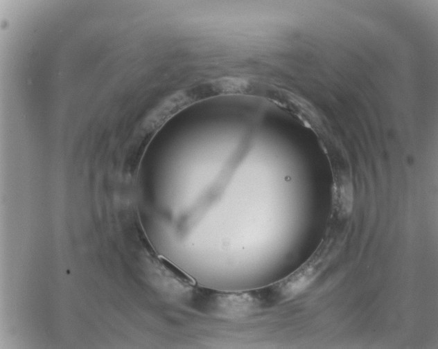 X0000063500525200601231440