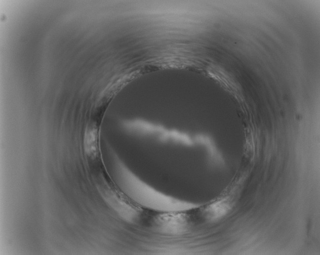 X0000063500526200601231440