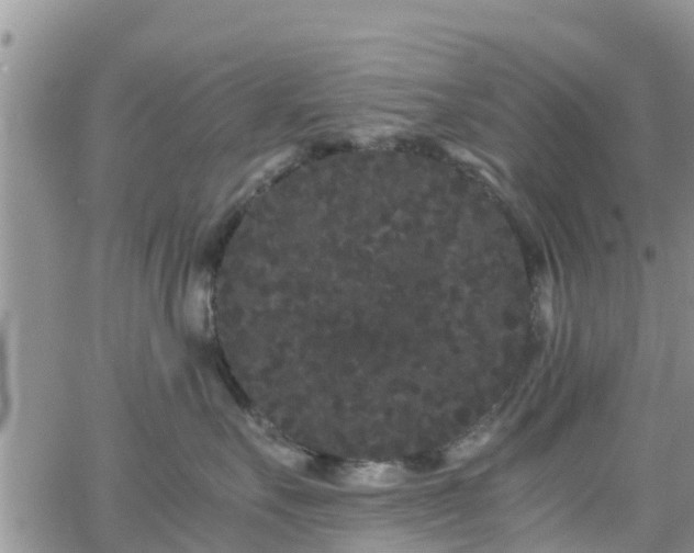 X0000063500527200601231440