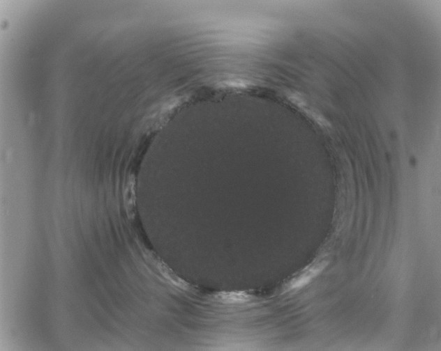 X0000063500528200601231440