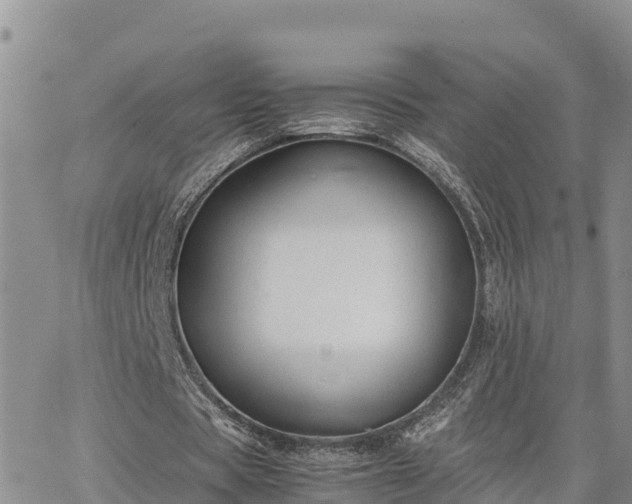 X0000063500529200601231439