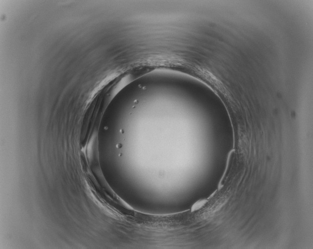 X0000063500530200601231439