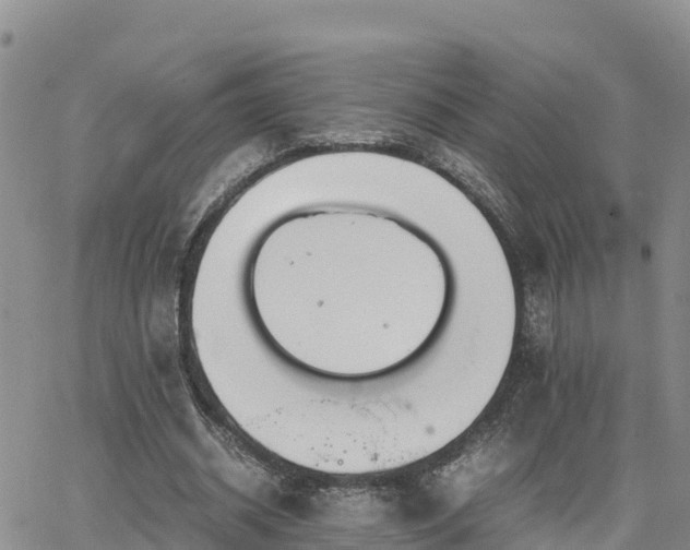 X0000063500534200601231439