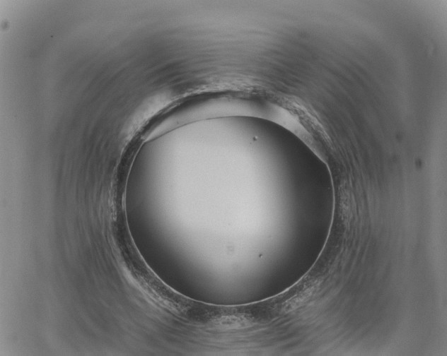 X0000063500536200601231439