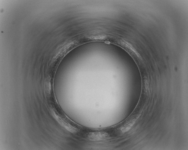 X0000063500541200601231440