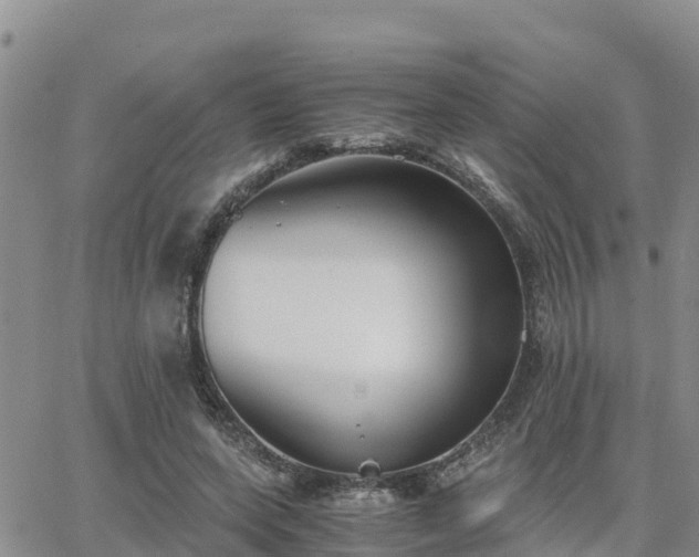 X0000063500543200601231440