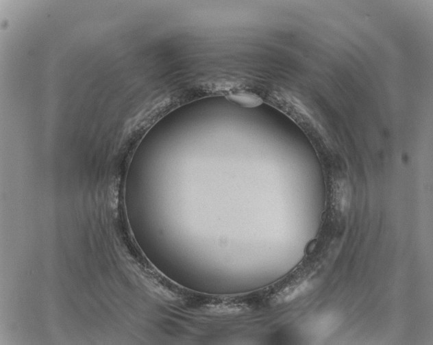 X0000063500545200601231440