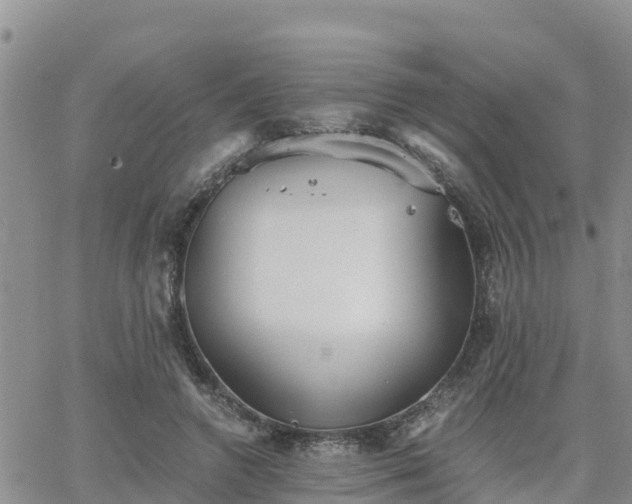 X0000063500546200601231440