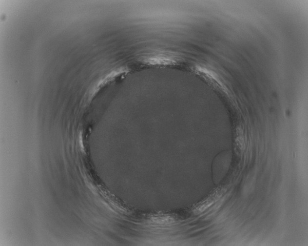 X0000063500547200601231440