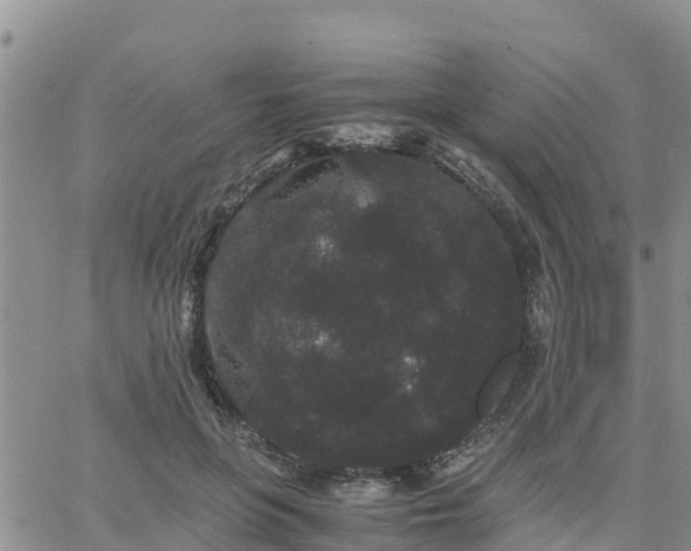 X0000063500551200601231440