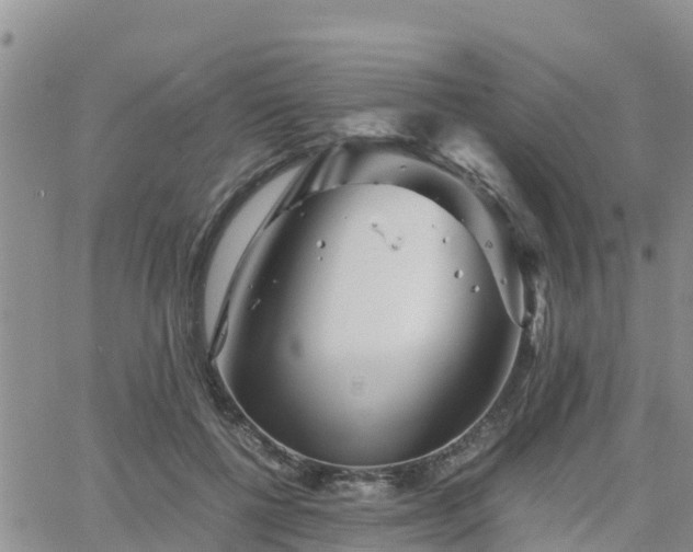 X0000063500552200601231440