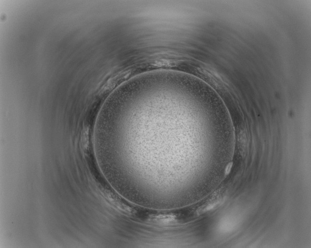 X0000063500554200601231440