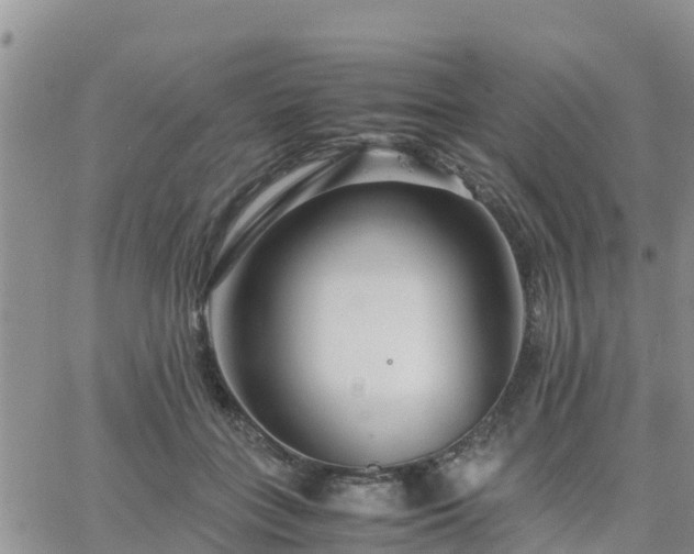 X0000063500555200601231440