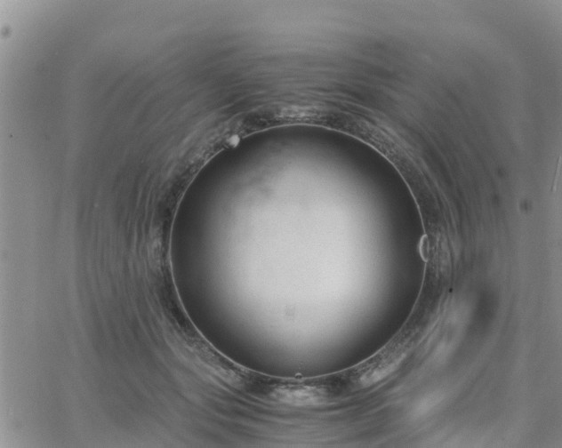 X0000063500557200601231440