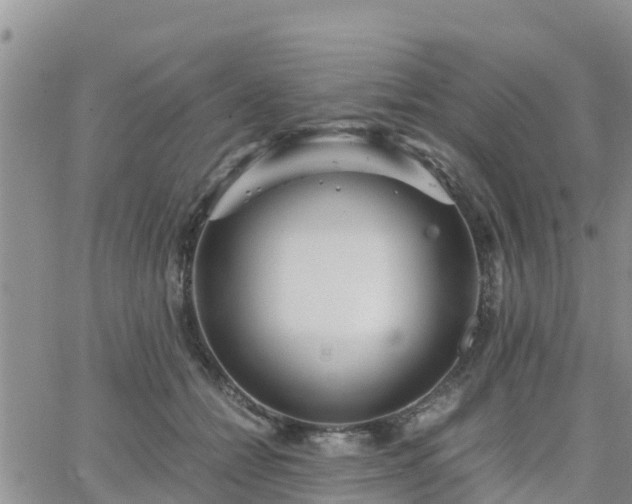 X0000063500558200601231440