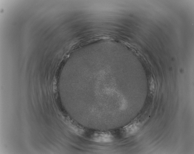 X0000063500559200601231440