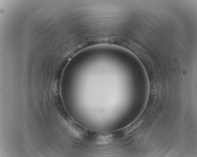 X0000063500560200601231440