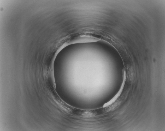 X0000063500562200601231440