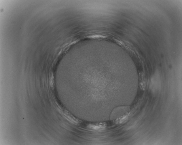 X0000063500563200601231440