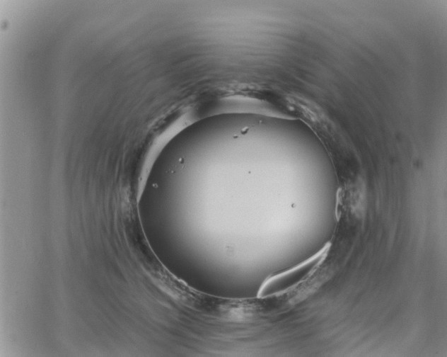 X0000063500564200601231440