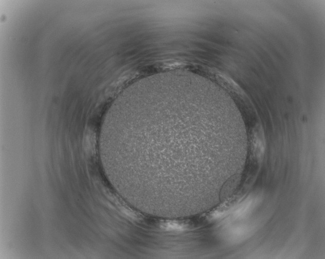 X0000063500565200601231440