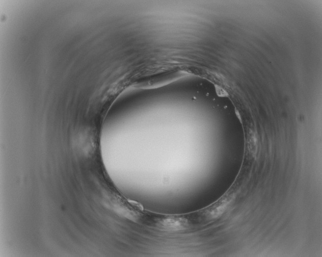 X0000063500566200601231440