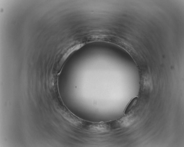 X0000063500567200601231440