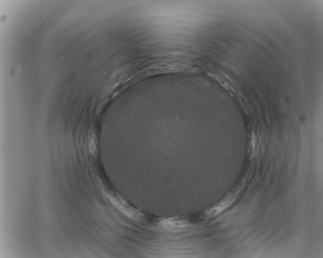 X0000063500568200601231440