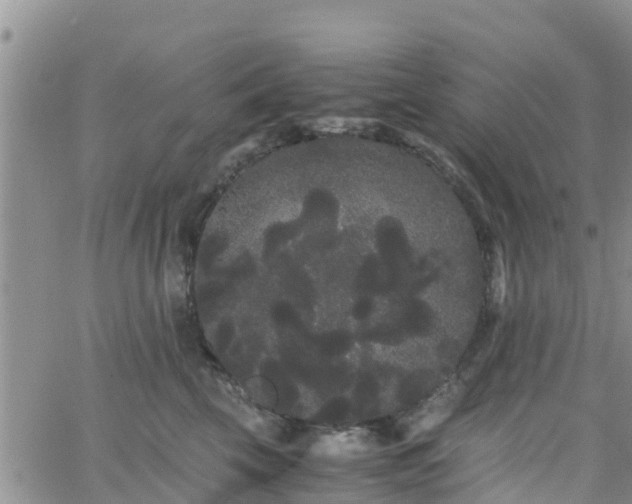 X0000063500569200601231440