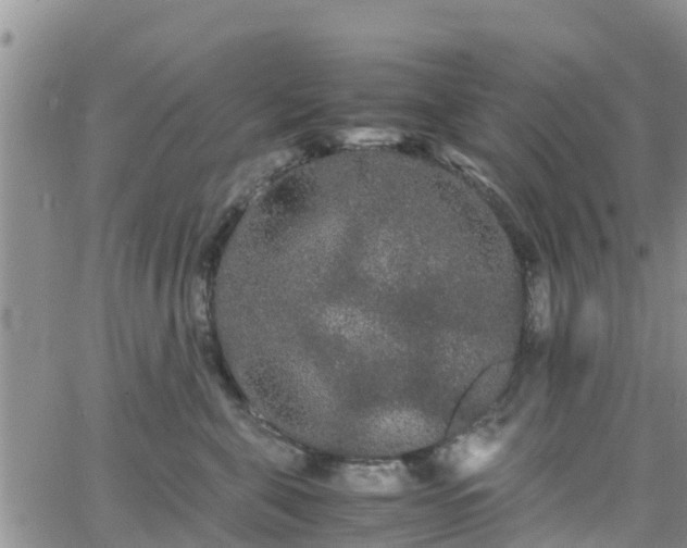 X0000063500571200601231440