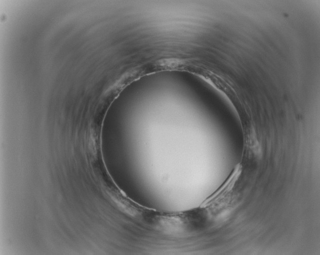 X0000063500572200601231440