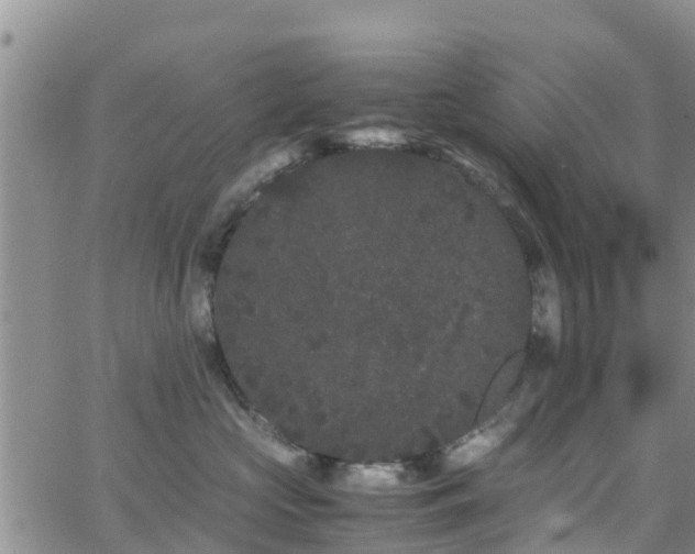 X0000063500573200601231440