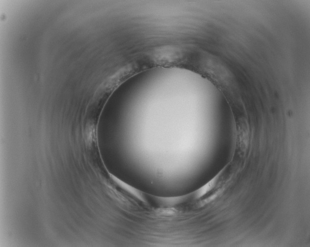 X0000063500574200601231440