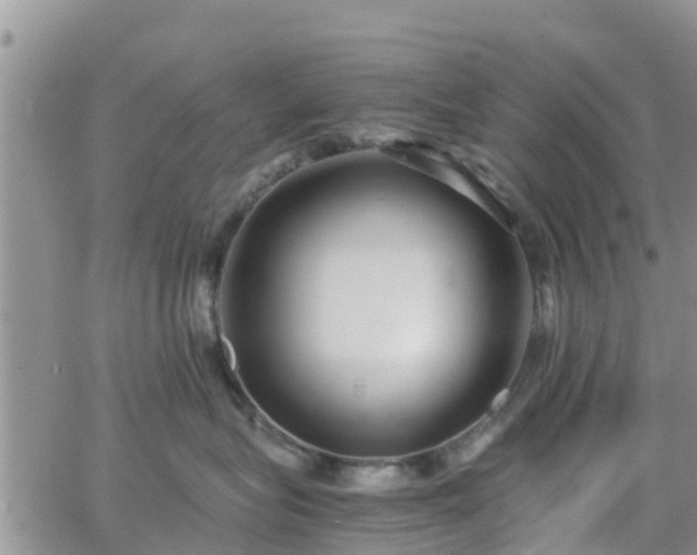 X0000063500575200601231440