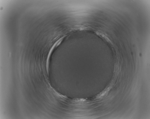 X0000063500576200601231440