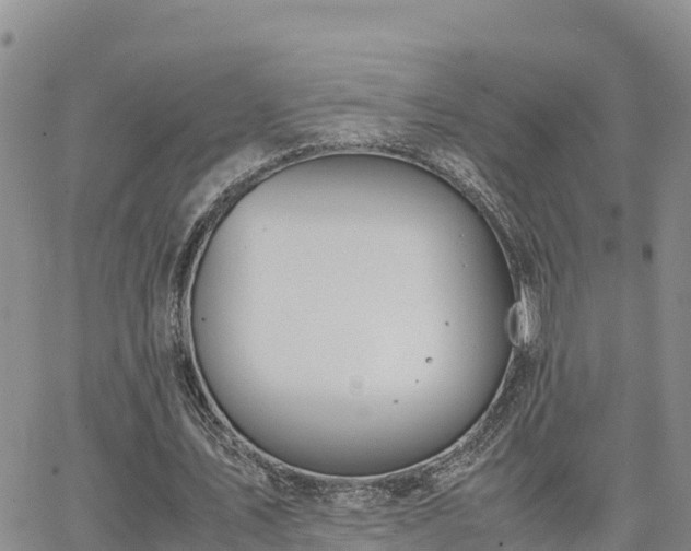 X0000063500579200601231439