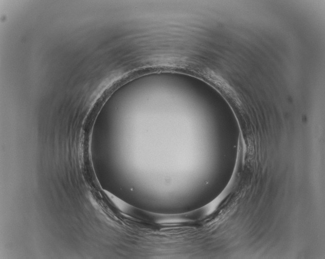 X0000063500580200601231439