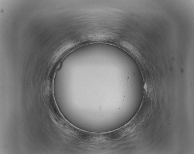 X0000063500583200601231439