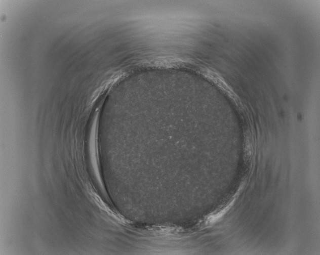 X0000063500585200601231439