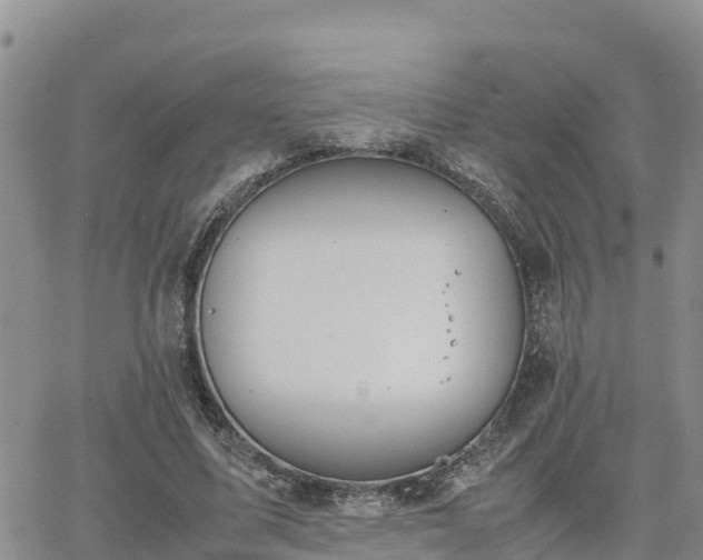 X0000063500587200601231439