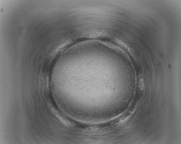 X0000063500589200601231439