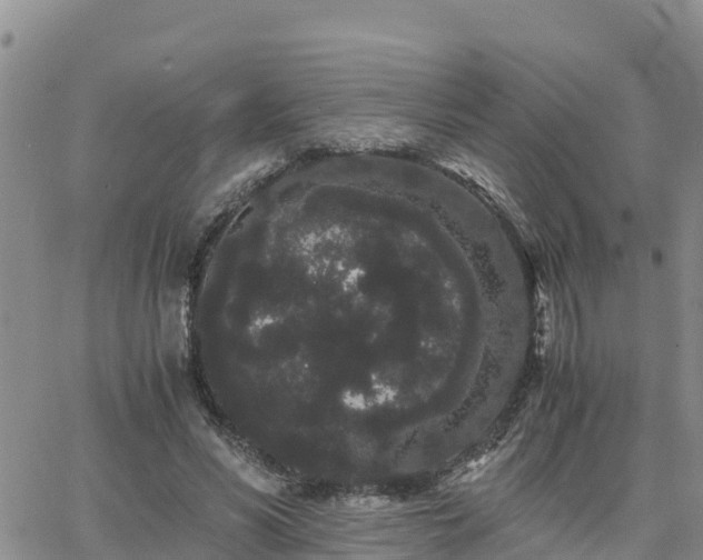 X0000063500590200601231439