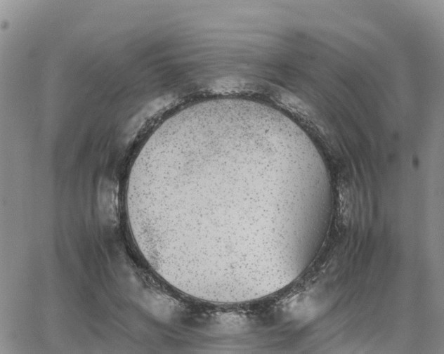 X0000063500592200601231439