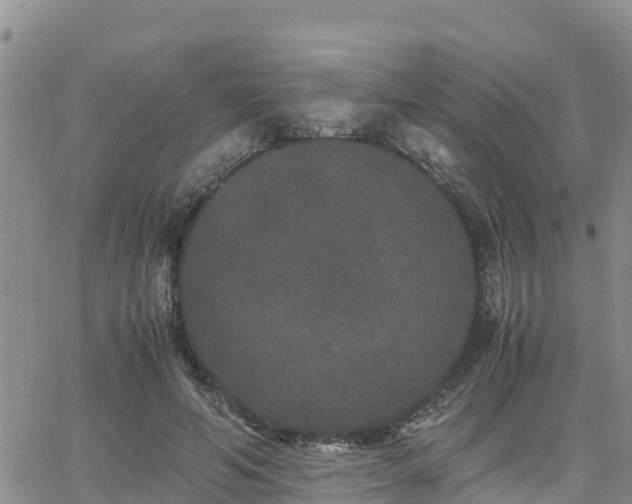 X0000063500594200601231439