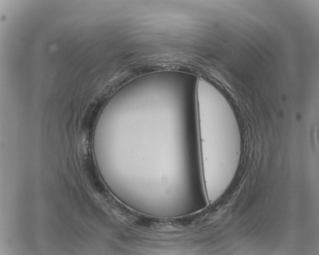 X0000063500597200601231439