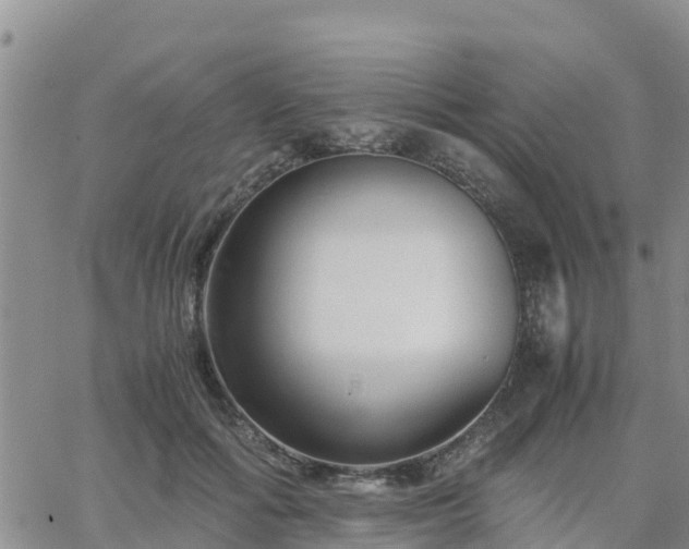 X0000063500602200601231439