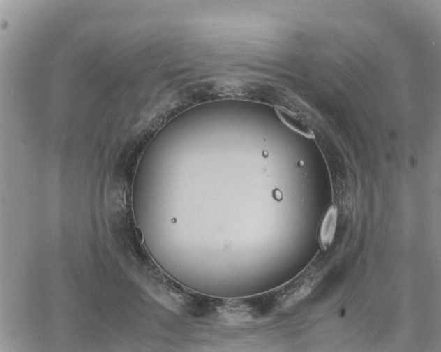 X0000063500603200601231439