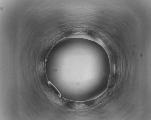 X0000063500605200601231439