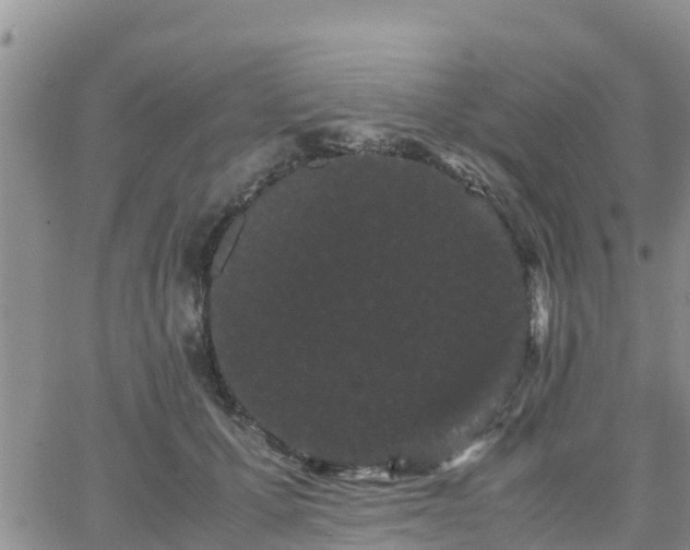 X0000063500607200601231439